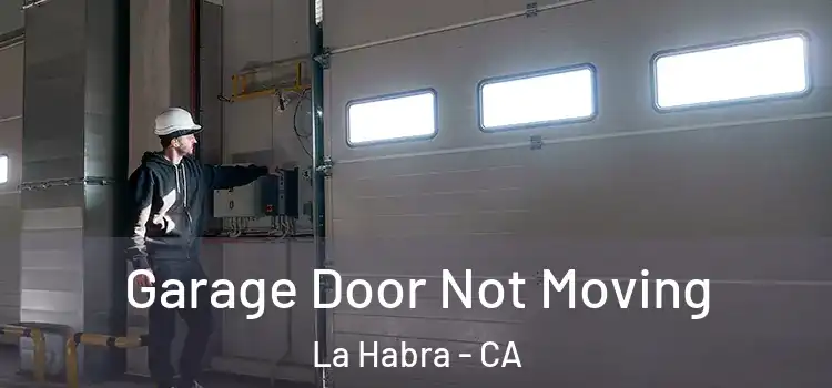  Garage Door Not Moving La Habra - CA