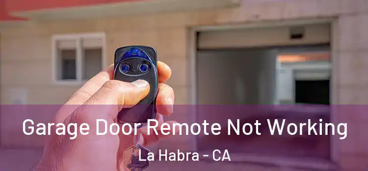 Garage Door Remote Not Working La Habra - CA